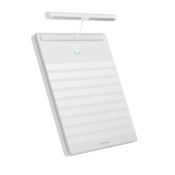 Body Segment White